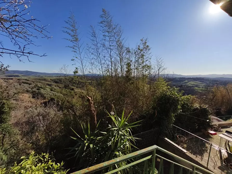 Immagine 18 di Terratetto in vendita  a Peccioli