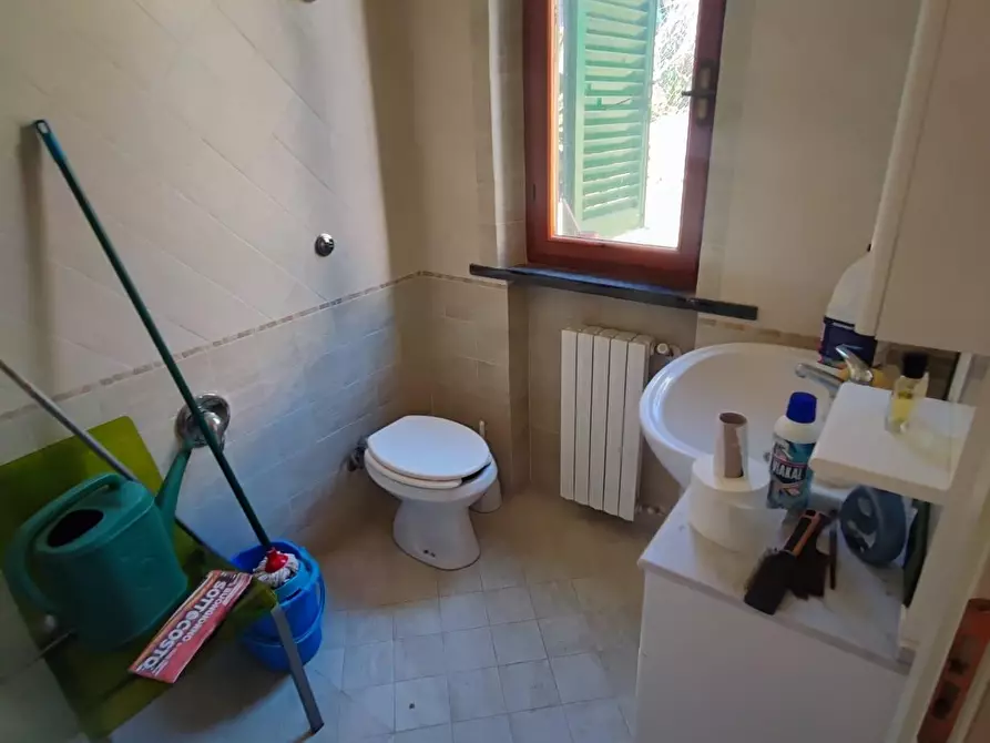 Immagine 26 di Terratetto in vendita  a Peccioli