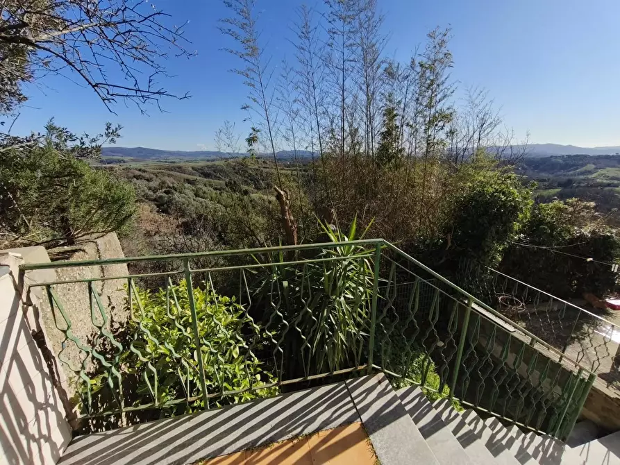 Immagine 13 di Terratetto in vendita  a Peccioli