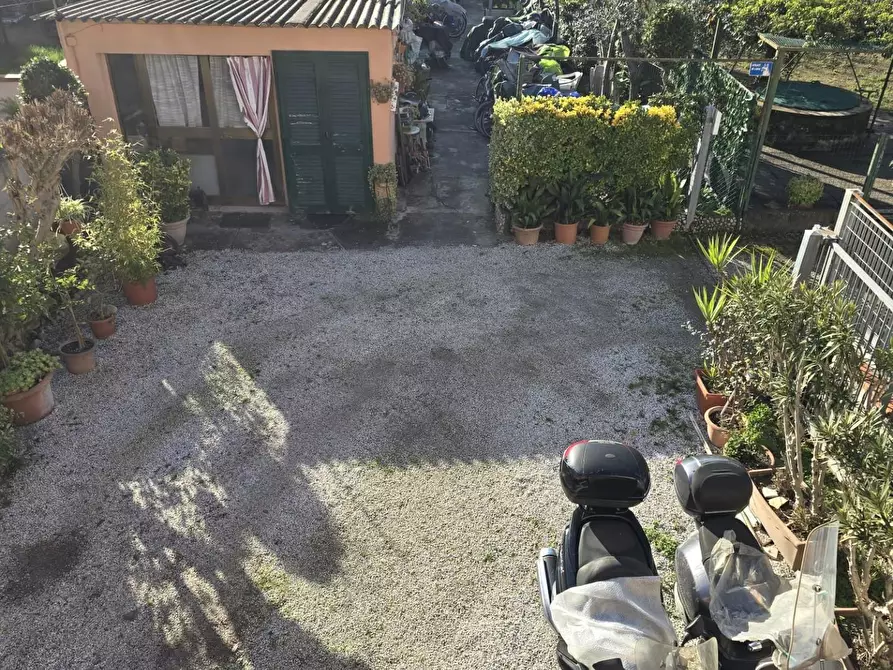 Immagine 21 di Terratetto in vendita  a Calcinaia