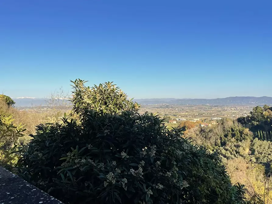 Immagine 59 di Terratetto in vendita  a San Miniato