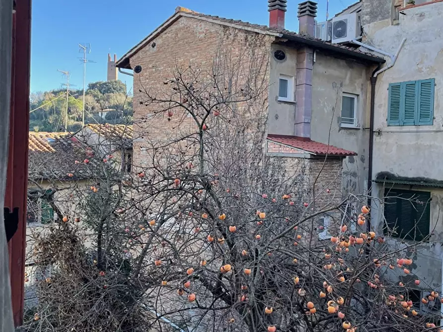 Immagine 28 di Terratetto in vendita  a San Miniato