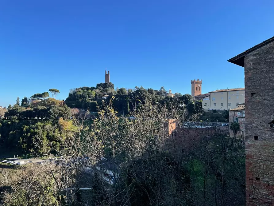 Immagine 63 di Terratetto in vendita  a San Miniato