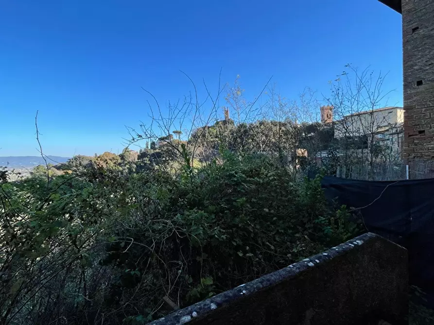 Immagine 70 di Terratetto in vendita  a San Miniato