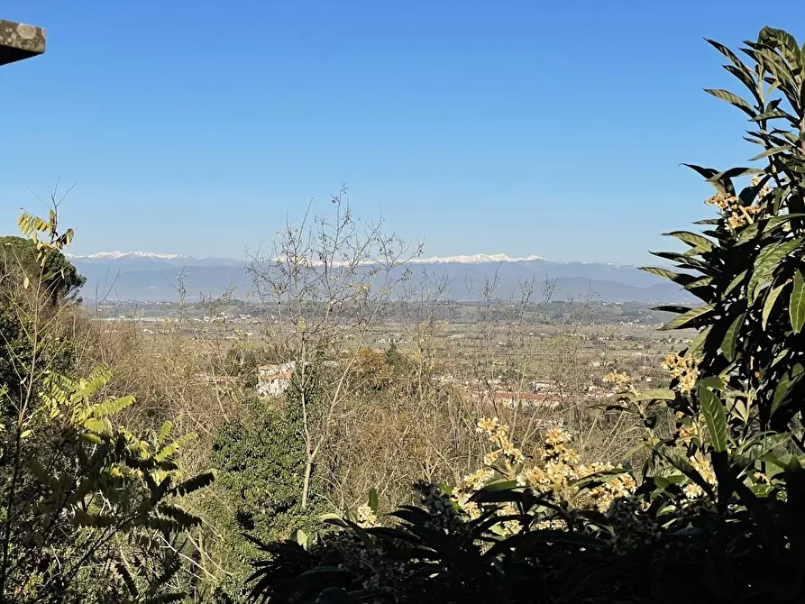 Immagine 8 di Terratetto in vendita  a San Miniato