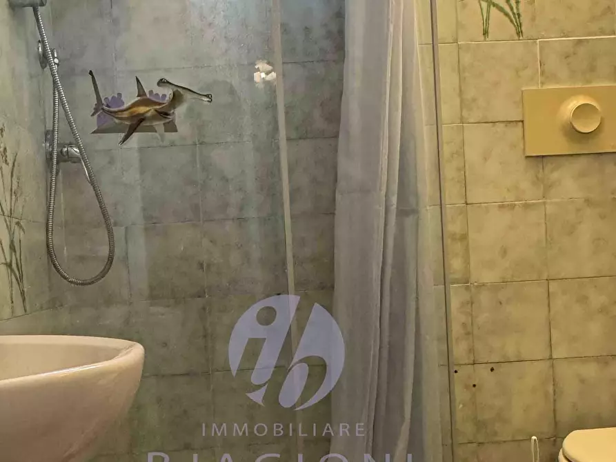 Immagine 11 di Casa trifamiliare in vendita  a Pietrasanta