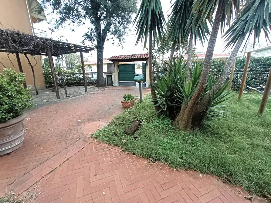 Immagine 31 di Appartamento in vendita  a Viareggio