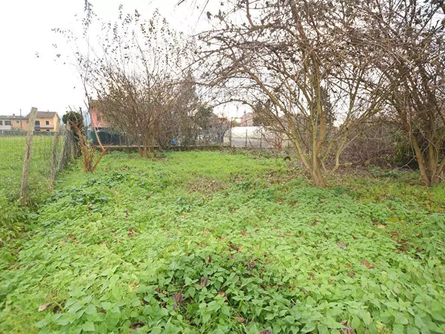 Immagine 7 di Deposito in vendita  a Capannori