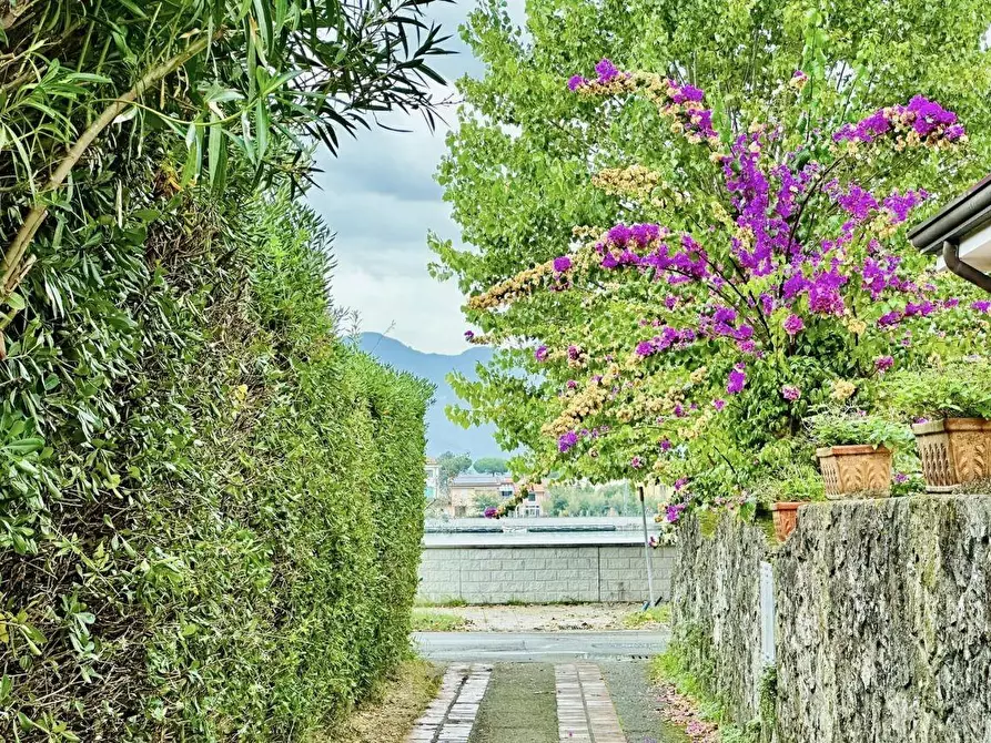 Immagine 4 di Appartamento in vendita  a Ameglia