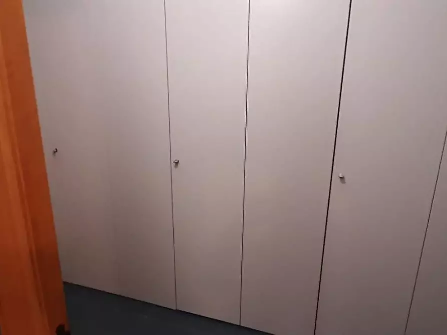 Immagine 14 di Appartamento in vendita  a Cecina