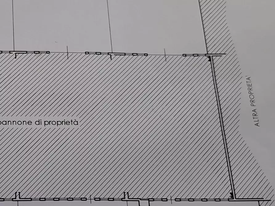 Immagine 5 di Attività artigianale in vendita  a Rosignano Marittimo