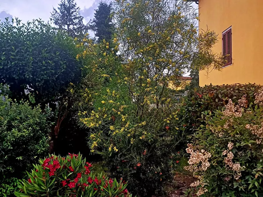 Immagine 1 di Casa indipendente in vendita  a Santa Croce Sull'arno