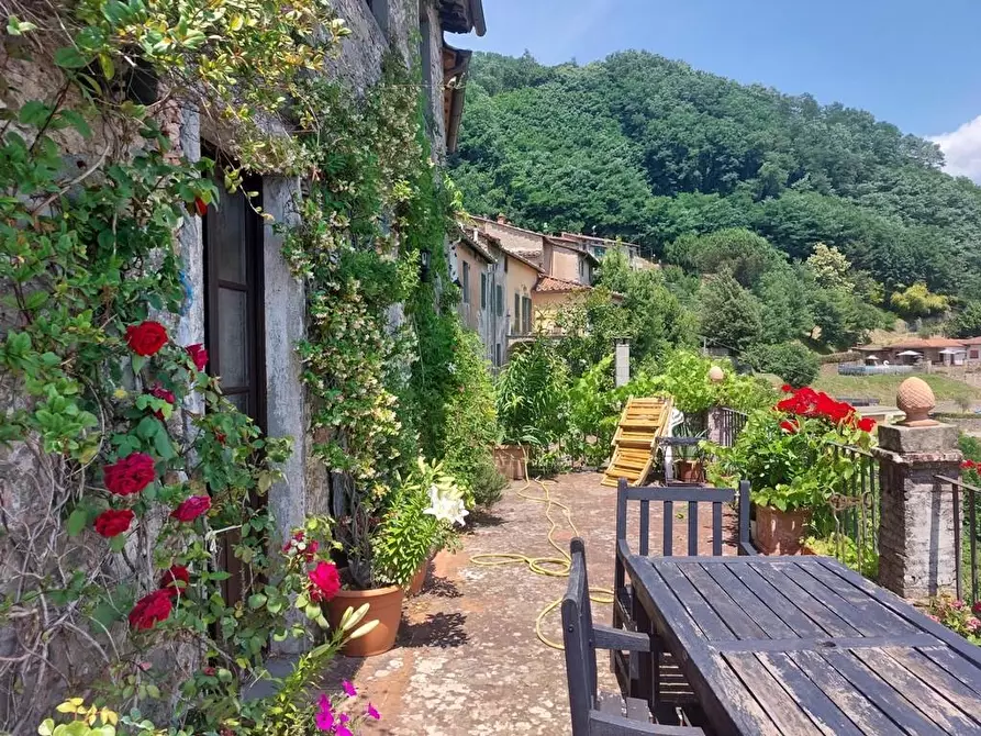 Immagine 2 di Terratetto in vendita  a Coreglia Antelminelli