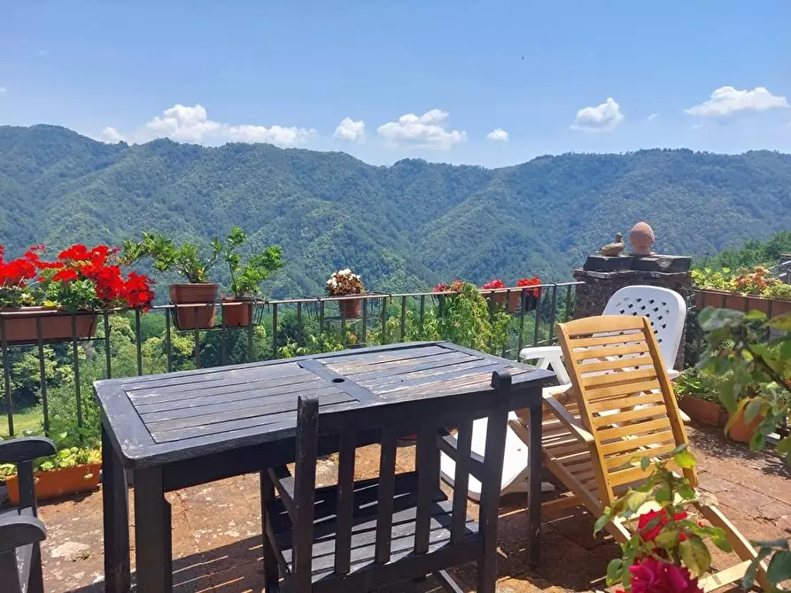 Immagine 3 di Terratetto in vendita  a Coreglia Antelminelli