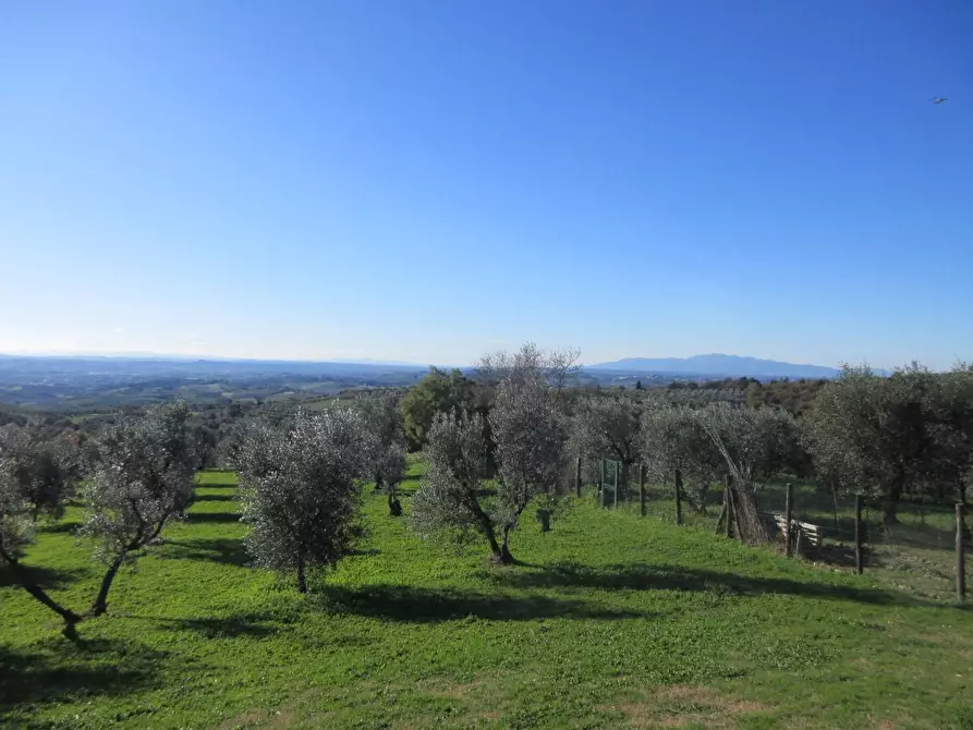 Immagine 19 di Casa colonica in vendita  a Capraia E Limite