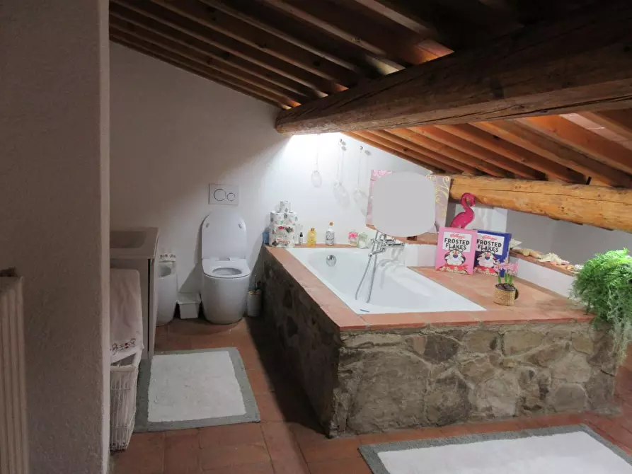 Immagine 18 di Casa colonica in vendita  a Capraia E Limite