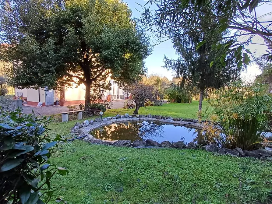 Immagine 21 di Casa colonica in vendita  a Santa Maria A Monte