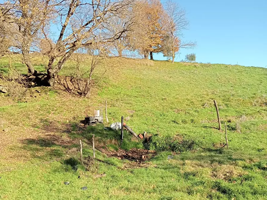 Immagine 1 di Terreno agricolo in vendita  a Lastra A Signa