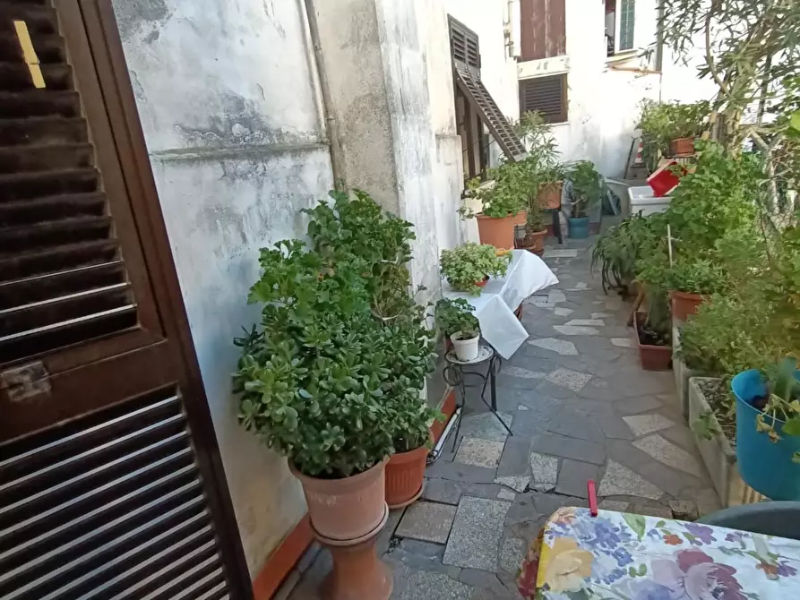 Immagine 26 di Terratetto in vendita  a Ameglia