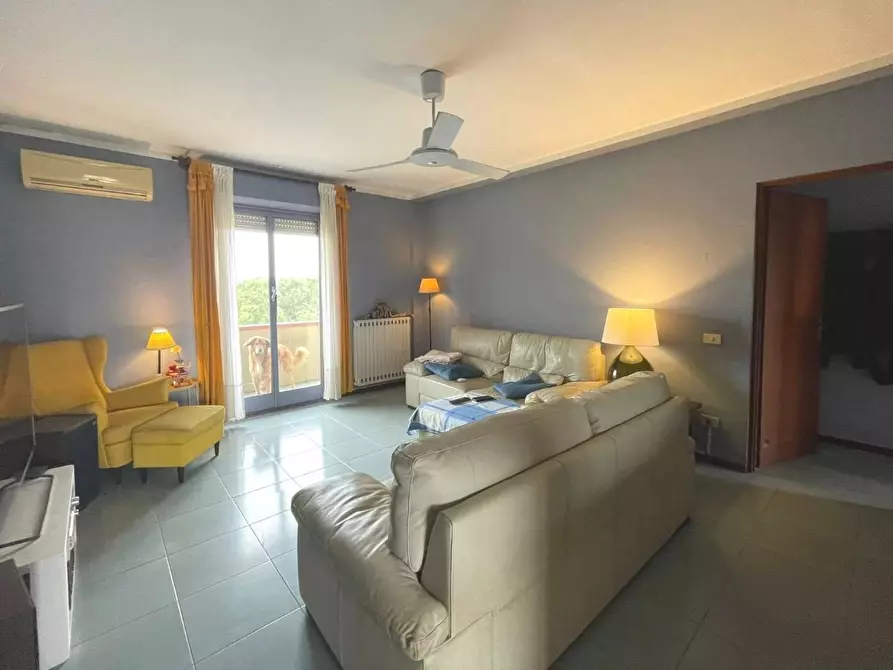 Immagine 3 di Appartamento in vendita  a Viareggio