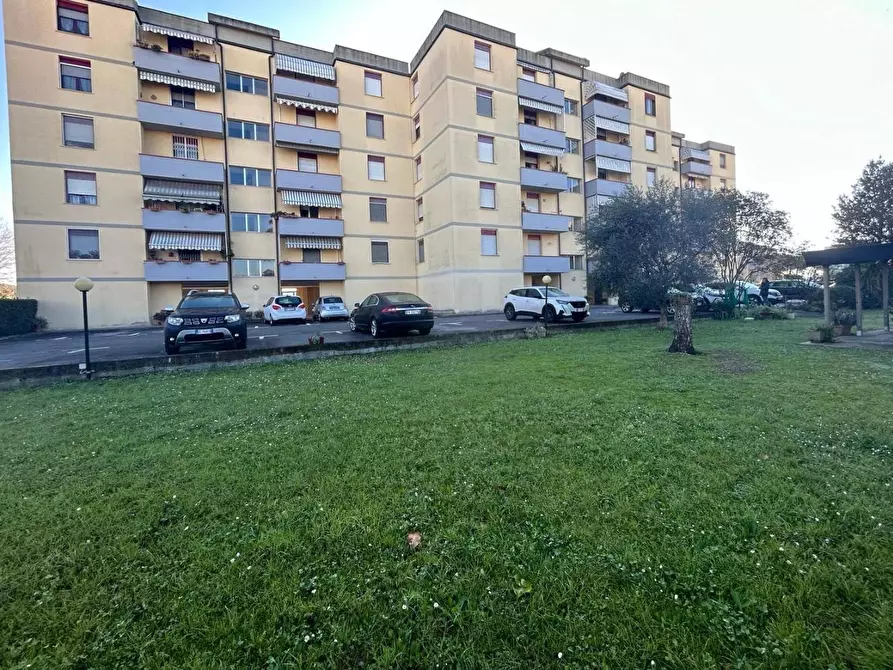 Immagine 27 di Appartamento in vendita  a Viareggio