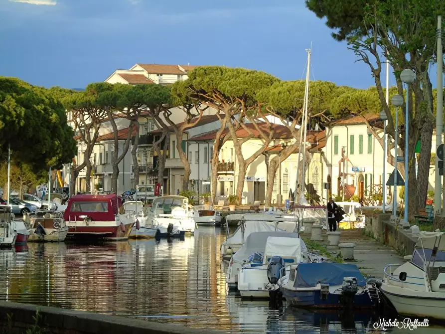 Immagine 1 di Negozio in affitto  a Viareggio