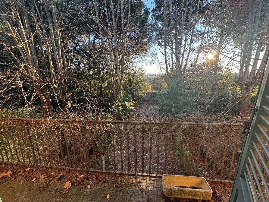 Immagine 12 di Villa in vendita  a Santa Maria A Monte