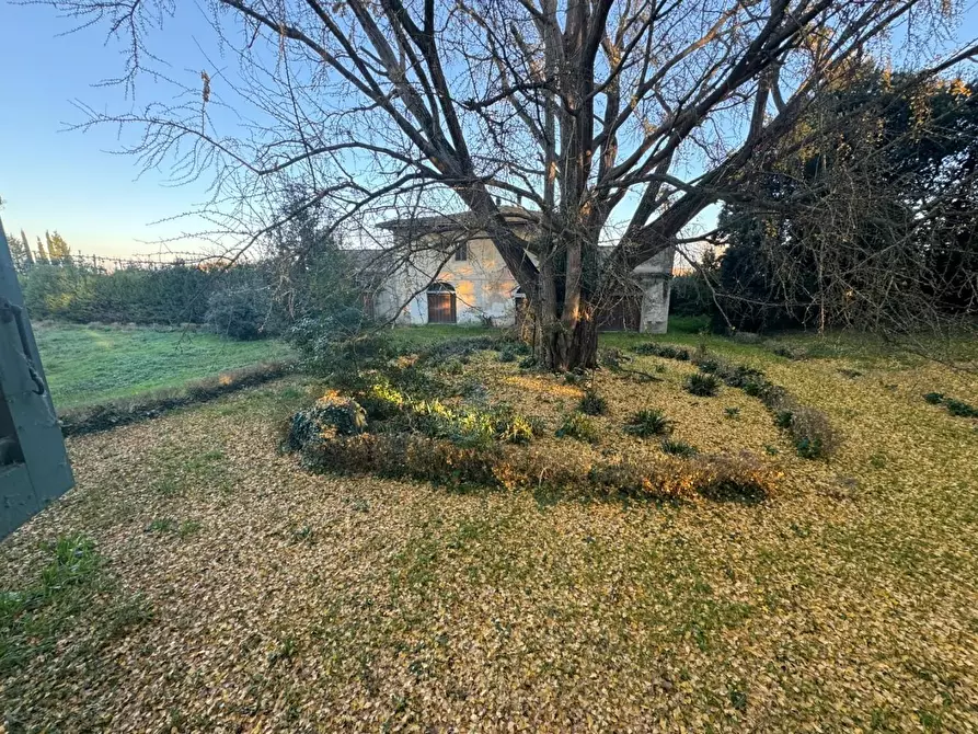 Immagine 11 di Villa in vendita  a Santa Maria A Monte