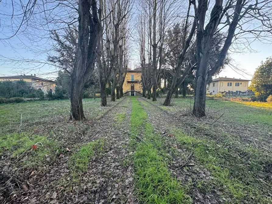 Immagine 4 di Villa in vendita  a Santa Maria A Monte