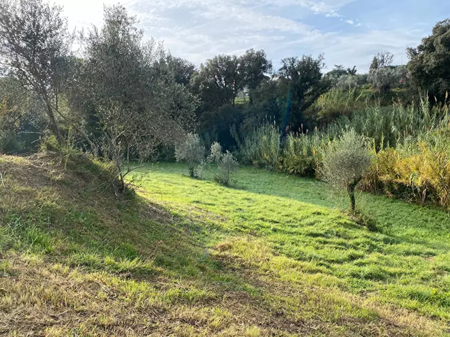 Immagine 1 di Terreno agricolo in vendita  a Livorno