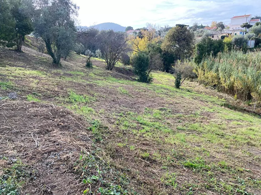 Immagine 4 di Terreno agricolo in vendita  a Livorno