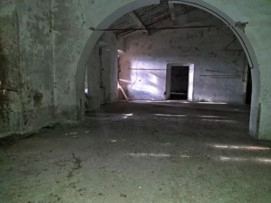 Immagine 5 di Palazzo in vendita  a Peccioli