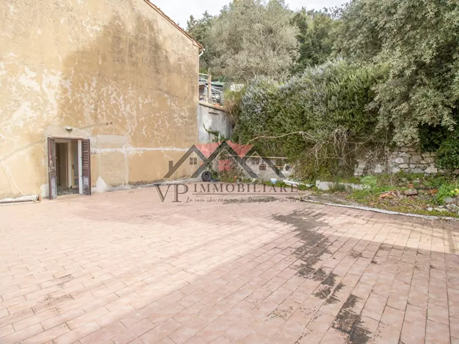 Immagine 10 di Terratetto in vendita  a Pomarance