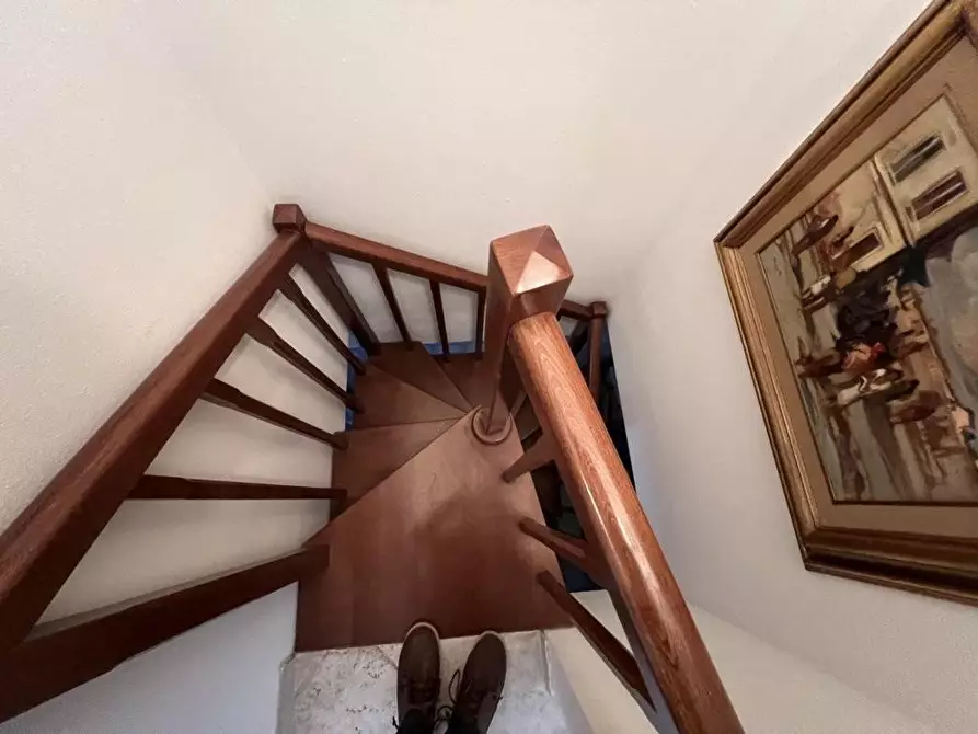 Immagine 13 di Appartamento in vendita  a Bibbona