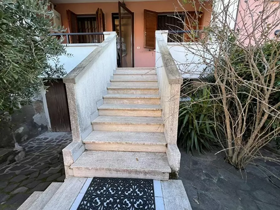 Immagine 26 di Appartamento in vendita  a Bibbona