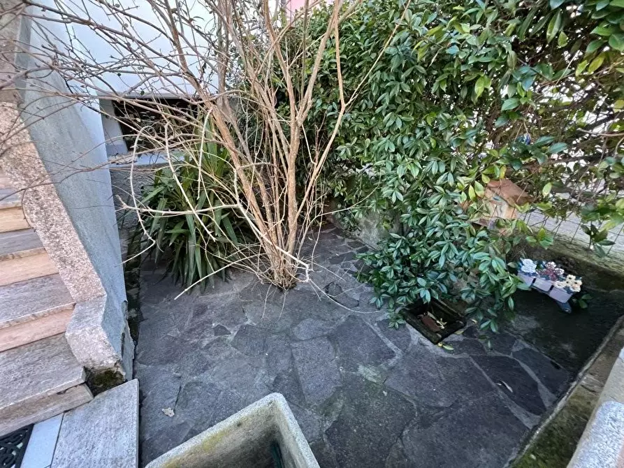 Immagine 4 di Appartamento in vendita  a Bibbona