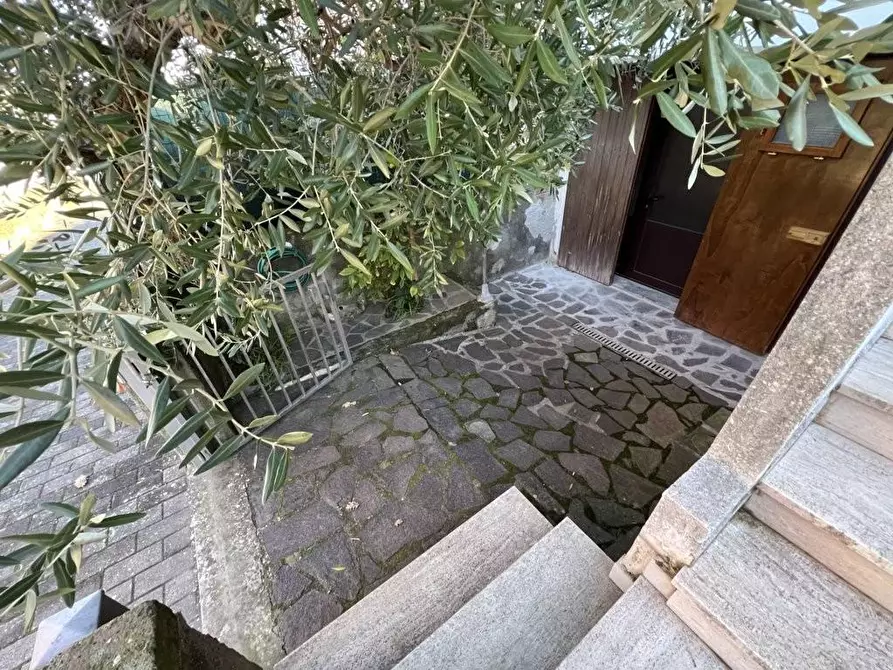 Immagine 19 di Appartamento in vendita  a Bibbona