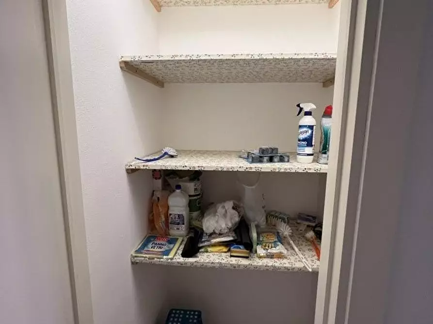 Immagine 11 di Appartamento in vendita  a Bibbona