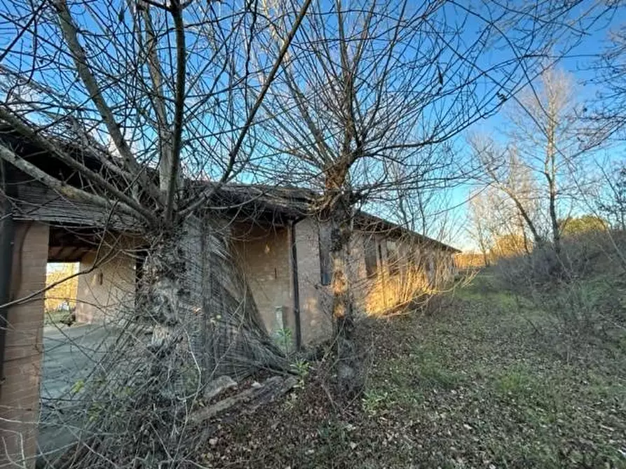 Immagine 7 di Casa indipendente in vendita  a Siena