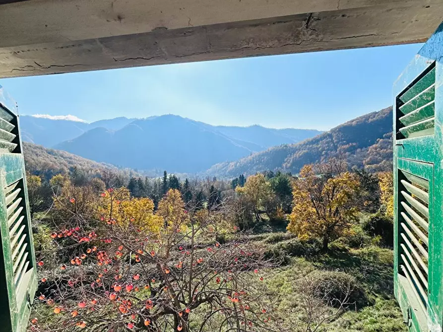 Immagine 21 di Casa indipendente in vendita  a Comano