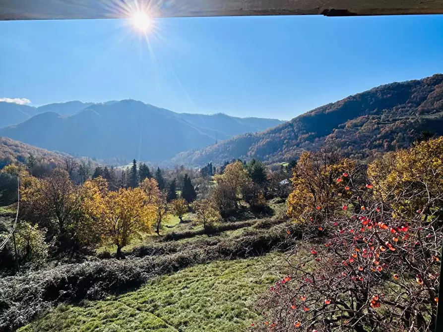 Immagine 27 di Casa indipendente in vendita  a Comano