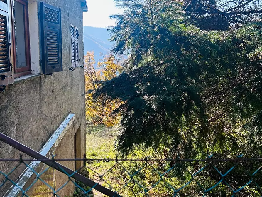 Immagine 28 di Casa indipendente in vendita  a Comano