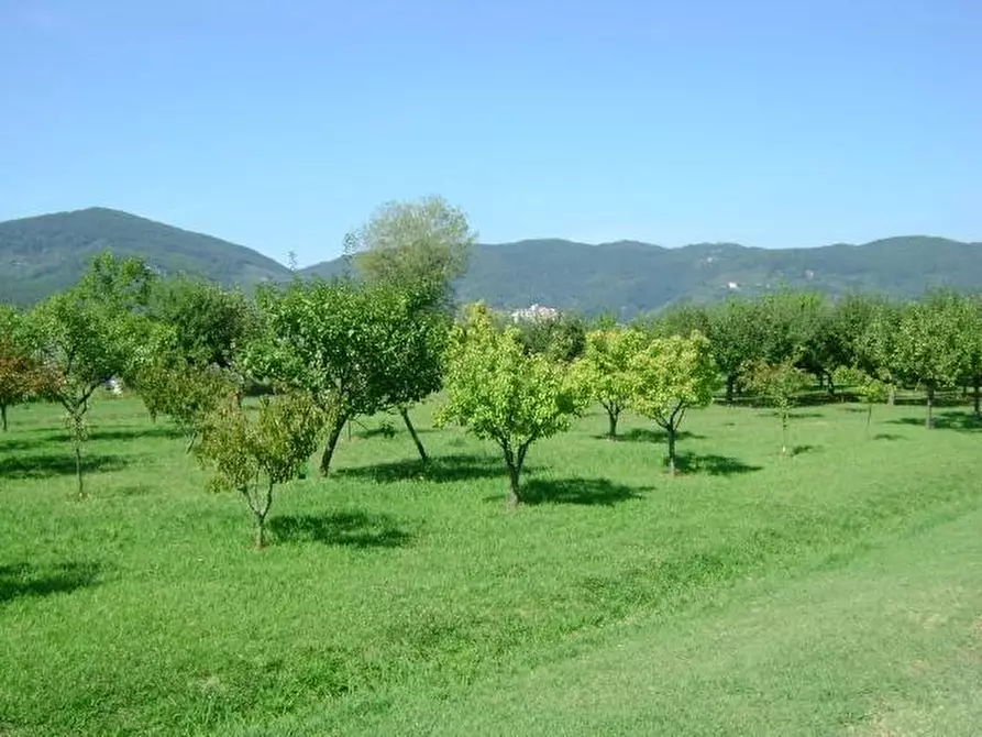 Immagine 8 di Villa in vendita  a Ameglia