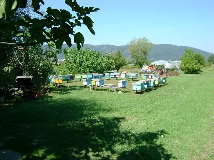 Immagine 12 di Villa in vendita  a Ameglia