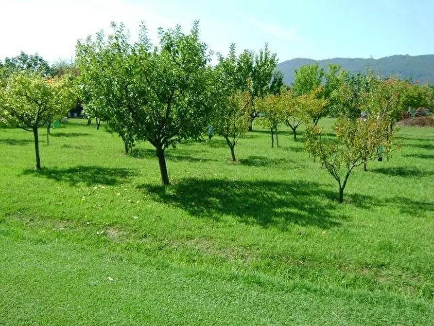 Immagine 9 di Villa in vendita  a Ameglia