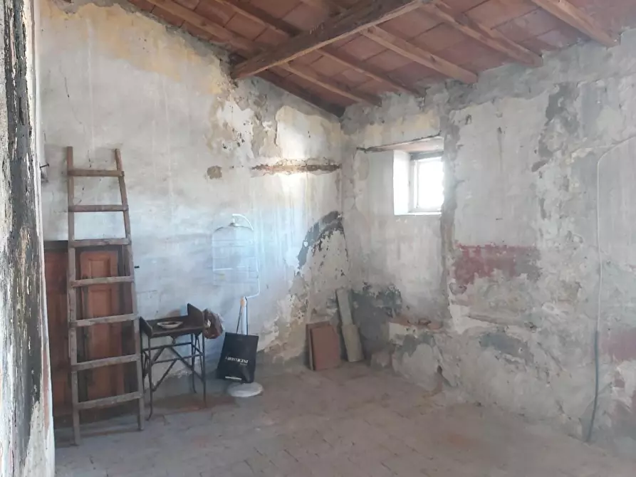 Immagine 42 di Terratetto in vendita  a Buti