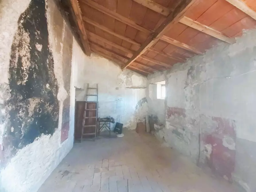 Immagine 41 di Terratetto in vendita  a Buti