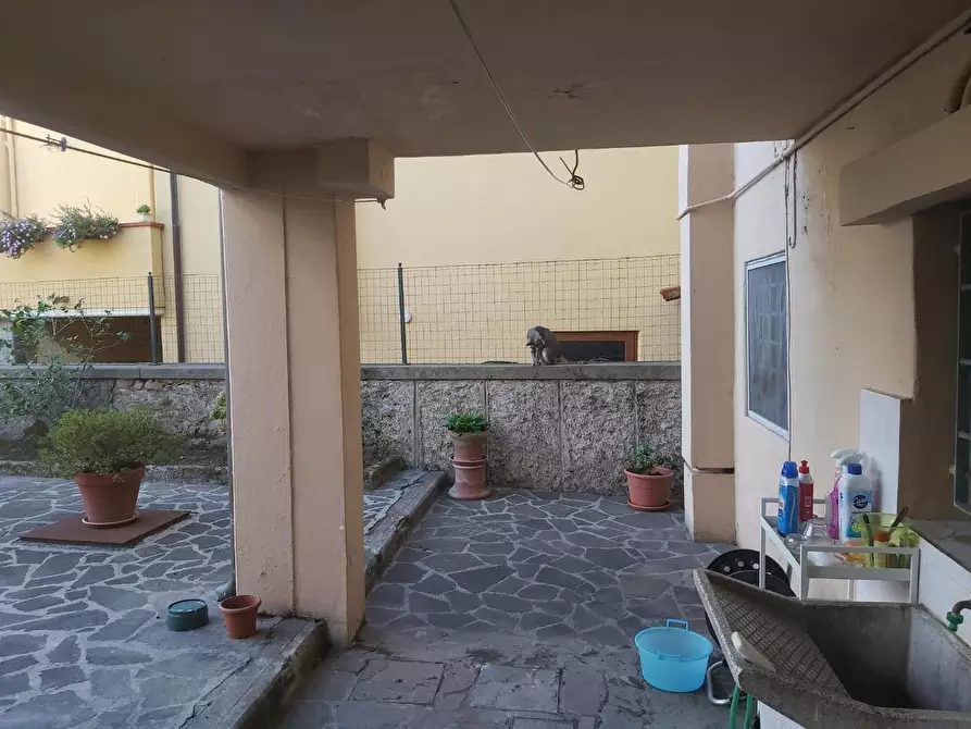 Immagine 11 di Terratetto in vendita  a Buti