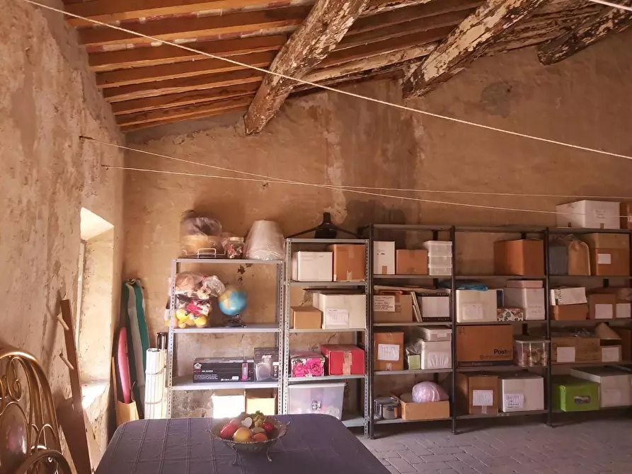 Immagine 44 di Terratetto in vendita  a Buti