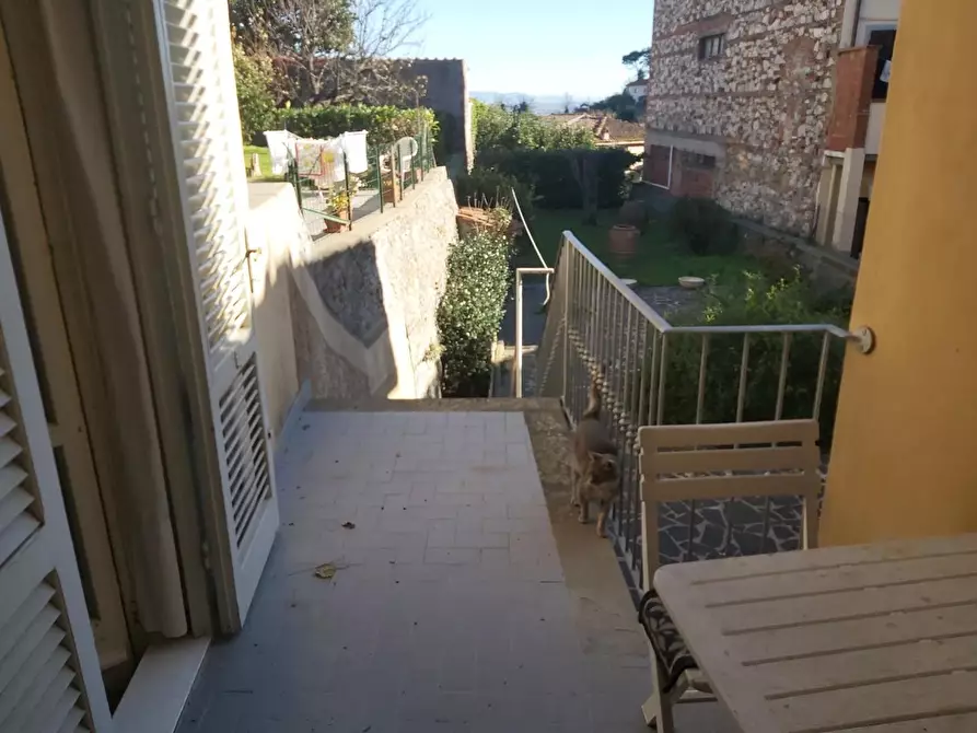 Immagine 32 di Terratetto in vendita  a Buti